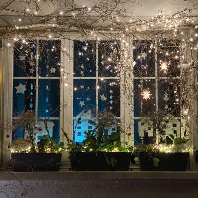 Fenster 08 20251