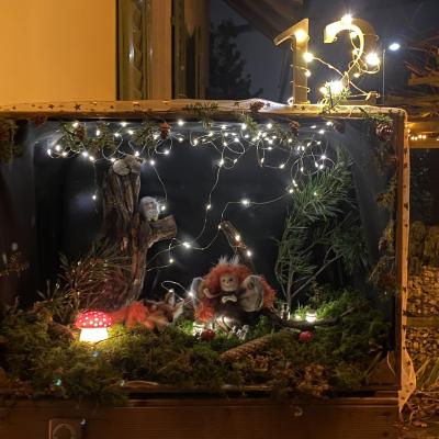 Fenster 12 20251