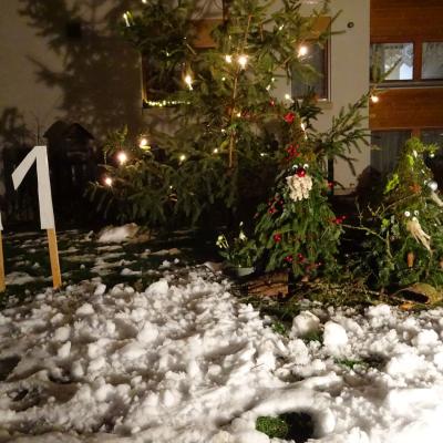 Fenster 11 2021