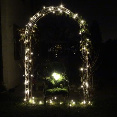 Fenster 19 2019