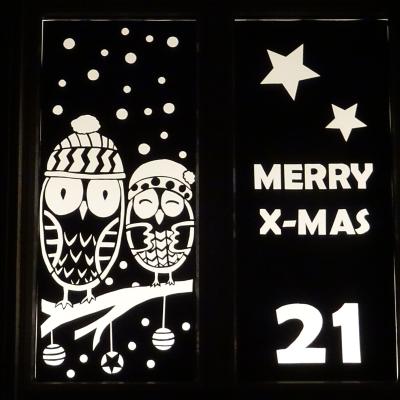 Fenster 21 2017