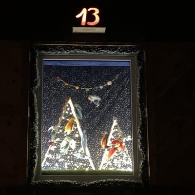 Fenster 13 2024